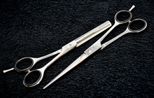 Load image into Gallery viewer, XPERSIS PRO Silver Barber Shear Set