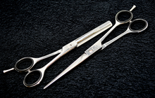 Load image into Gallery viewer, XPERSIS PRO Silver Barber Shear Set
